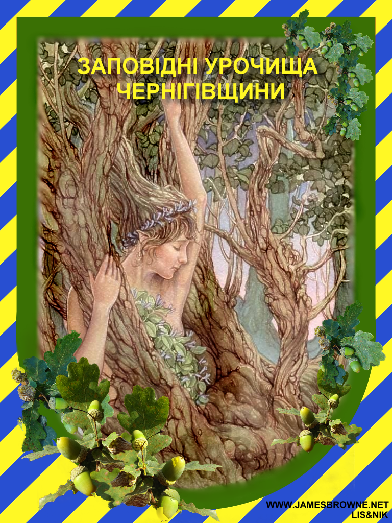 Заповідні урочища Чернігівщини
